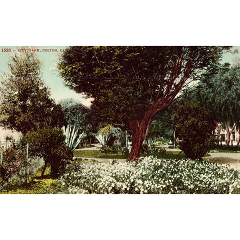 Vintage Postcard - City Park - Colton, California