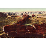 Linen Postcard - The Twin Sisters, Petrified Forest - Arizona