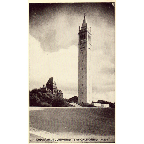 Vintage Postcard - Campanile - University of California