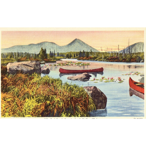 Linen Postcard - Lily Pad Pond, Sourdnahunk Valley - Maine