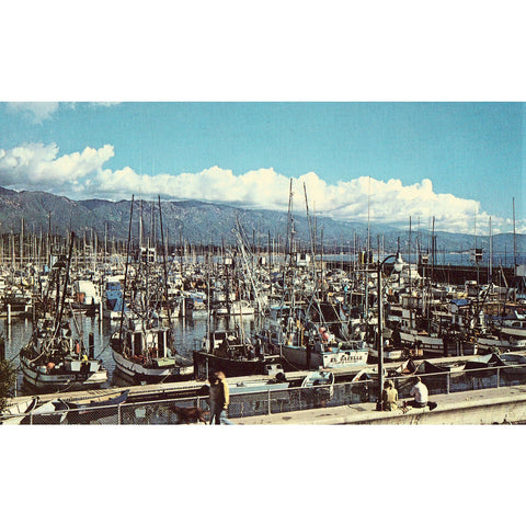 Vintage Postcard - Santa Barbara Boat Harbor - Santa Barbara, California