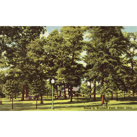 Linen Postcard - Scene in Wadell Park - Niles, Ohio