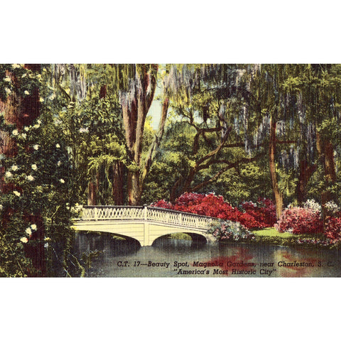 Linen Postcard - Beauty Spot, Magnolia Gardens near Charleston, South Carolina