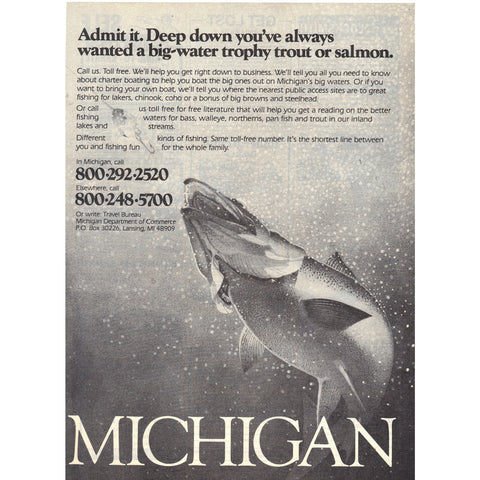 Vintage 1982 Print Ad for Michigan Fishing