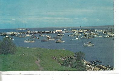 Monterey Harbor, California - Cakcollectibles