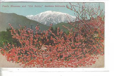 Peach Blossoms and "Old Baldy"-Southern California - Cakcollectibles